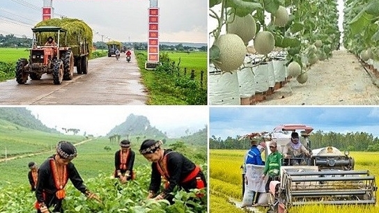 Вьетнам стремится к сокращению бедности на 1-1,5% в 2023 году