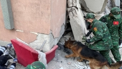 Землетрясения в Турции и Сирии: вьетнамские военные спасатели обнаружили еще 3 локации с пострадавшими