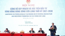 Дельта реки Меконг устойчиво развивается  в соответствии со стратегической позицией региона