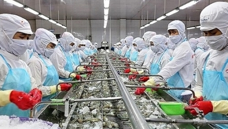 Экспорт вьетнамских морепродуктов в 2022 году достигнет $10 млрд