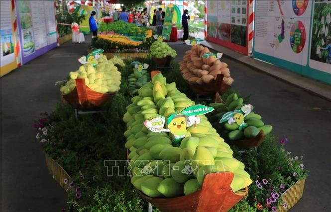 В провинции Донгтхап состоялся фестиваль манго Каолань 2022 года