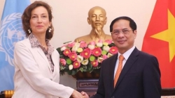 Министр иностранных дел Буй Тхань Шон принял Генерального директора ЮНЕСКО