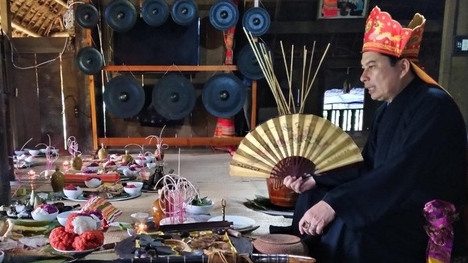 Ханой добивается признания ЮНЕСКО ритуала Мо Мыонг