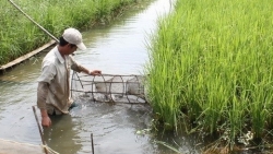 Укрепление сотрудничества для устойчивого развития дельты Меконга
