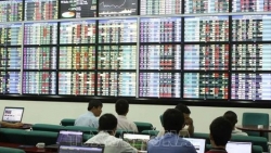 Daily Mail: Фондовый рынок Вьетнама резко вырастет в 2022