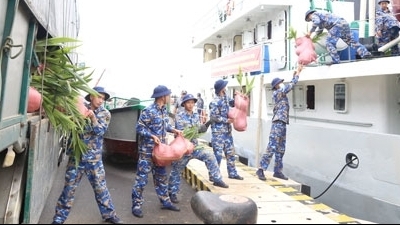 Островной уезд Чыонгша получил 1000 кокосовых саженцев