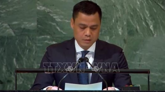 Вьетнам призвал к реформированию Совета Безопасности ООН