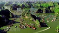 Как минимум 10 вьетнамских заповедников войдут в «Зелёный список» к 2030 году