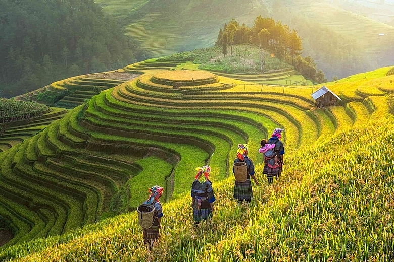 8 самых красивых мест во Вьетнаме