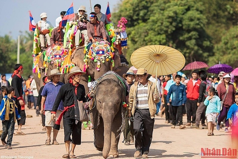 Уникальный фестиваль слонов в Лаосе