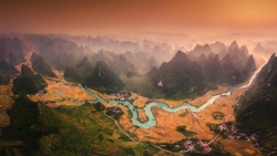 Фотография спелых рисовых полей в провинции Каобанг получила международную золотую награду