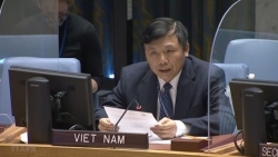 Вьетнам призвал соответствующие стороны в Йемене прекратить военные действия