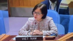 Вьетнам призвал страны региона Сахель к единству в борьбе с терроризмом