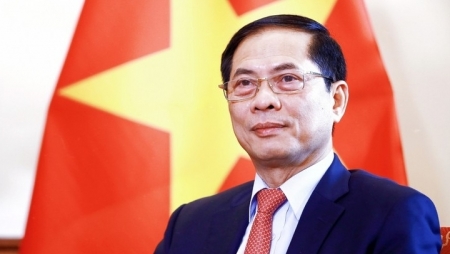 Внешнеполитическая отрасль Вьетнама приложит максимум усилий для защиты интересов страны