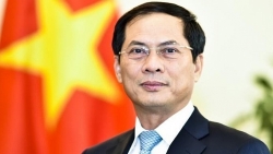 Министр иностранных дел Вьетнама посетит Республику Корея с 9 до 11 февраля