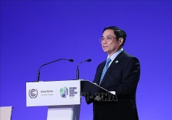Международная общественность высоко оценивает усилия Вьетнама в борьбе с изменением климата