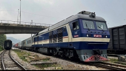 Вьетнам организует контейнерные поезда из Дананга в Европу