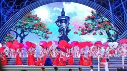Фестиваль цветов “Красный Феникс” 2022 года – толчок для развития туризма в Хайфоне