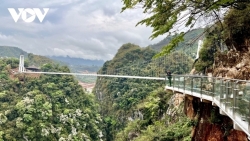 Самый длинный в мире пешеходный стеклянный мост на плато Мокчау будет официально открыт для посещения 30 апреля