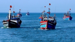 Вьетнам выступает против введения Китаем запрета на рыболовство в Восточном море