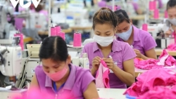 Текстильно-швейная промышленность Вьетнама восстанавливает высокие темпы роста