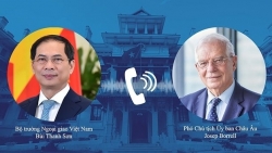 Вьетнам желает укреплять сотрудничество с ЕС и Венгрией