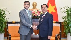Вьетнам придает большое значение отношениям дружбы и многостороннего сотрудничества с ОАЭ