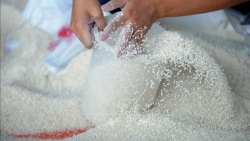 Экспорт риса из Вьетнама подскочил на 20% за семь месяцев