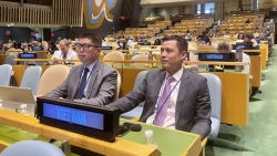 Генассамблея ООН приняла резолюцию о готовности к профилактике и борьбе с эпидемиями