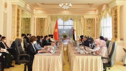Продвижение отношений всеобъемлющего партнерства между Вьетнамом и Брунеем