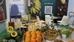 Малайзийские СМИ: Вьетнам укрепляет позицию в экспорте свежих фруктов