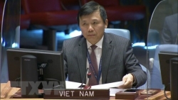Вьетнам призывает международное сообщество активизировать поддержку народа Центральноафриканской Республики
