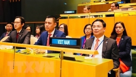 Вьетнам во второй раз избран членом Совета ООН по правам человека