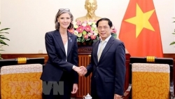 Министр иностранных дел Буй Тхань Шон принял постоянного представителя ПРООН во Вьетнаме