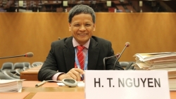 Посол Нгуен Хонг Тхао выдвинут для переизбрания в члены КМП ООН