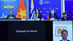 Политические консультации между Вьетнамом и Уругваем