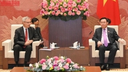 Вьетнам придает большое значение всеобъемлющему партнерству и сотрудничеству с ЕС и Францией