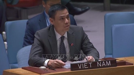 ЮНИСЕФ желает сопровождать Вьетнам в поддержке детей