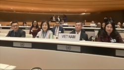 Вьетнам принял участие в 13-м совещании ЮНКТАД по управлению долгами