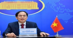 Министр иностранных дел Вьетнама Буй Тхань Шон провел онлайн-переговоры с Министром иностранных дел и вероисповедания Республики Коста-Рика