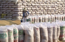 Фальсификация происхождения риса может подорвать престиж вьетнамского риса