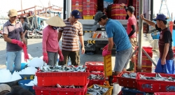 Вьетнам находится на правильном пути в борьбе с ННН-промыслом