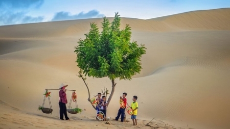 Красота песчаных дюн Намкыонг, провинции Ниньтхуана