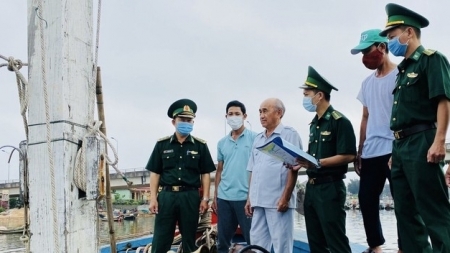 Европейская комиссия рассмотрит и исправит «желтую карточку» в отношении вьетнамских морепродуктов
