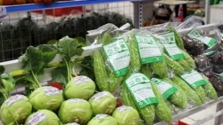 Экспорт свежих овощей и фруктов в Китай резко упал