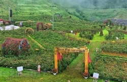 Провинция Лаокай запускает серию новых туристических продуктов для привлечения туристов