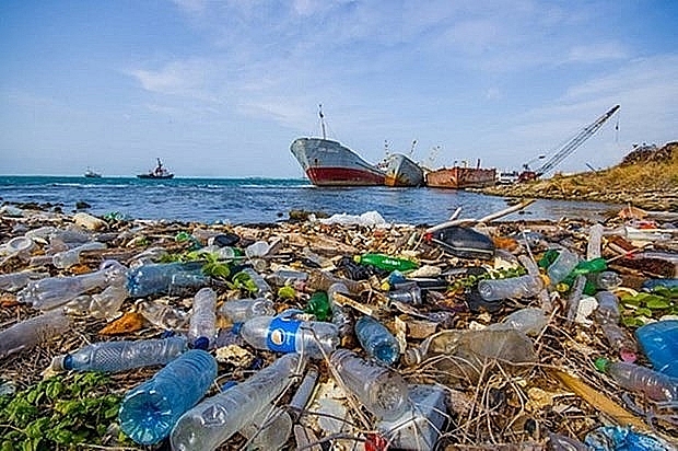 Вьетнам и Франция обмениваются опытом борьбы с загрязнением морской среды
