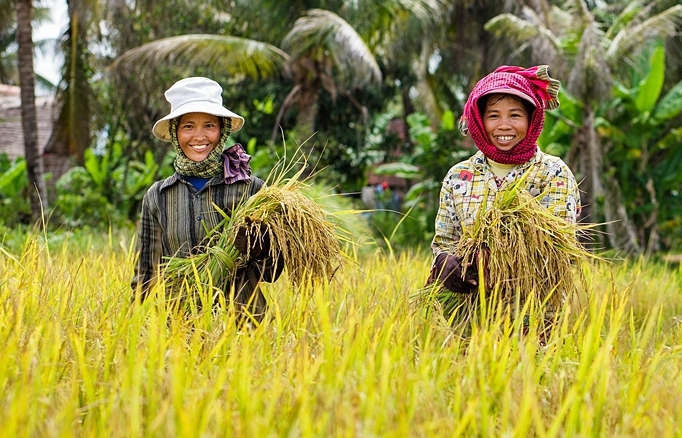 Вьетнам лидирует по импорту сельскохозяйственной продукции из Камбоджи