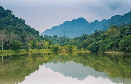 Национальный парк Кукфыонг является ведущим национальным парком Азии 2022 года