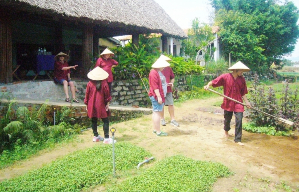 Овощеводство в деревне Чакуэ (г.Хойан) признано объектом национального нематериального культурного наследия